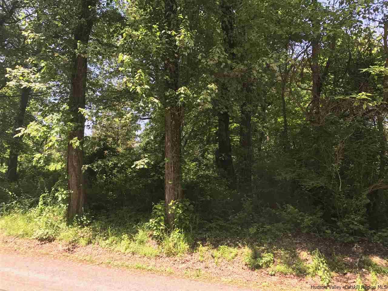Tbd Grist Mill Road Rosendale, NY 12472 - Photo 3 of 12 Photo 3