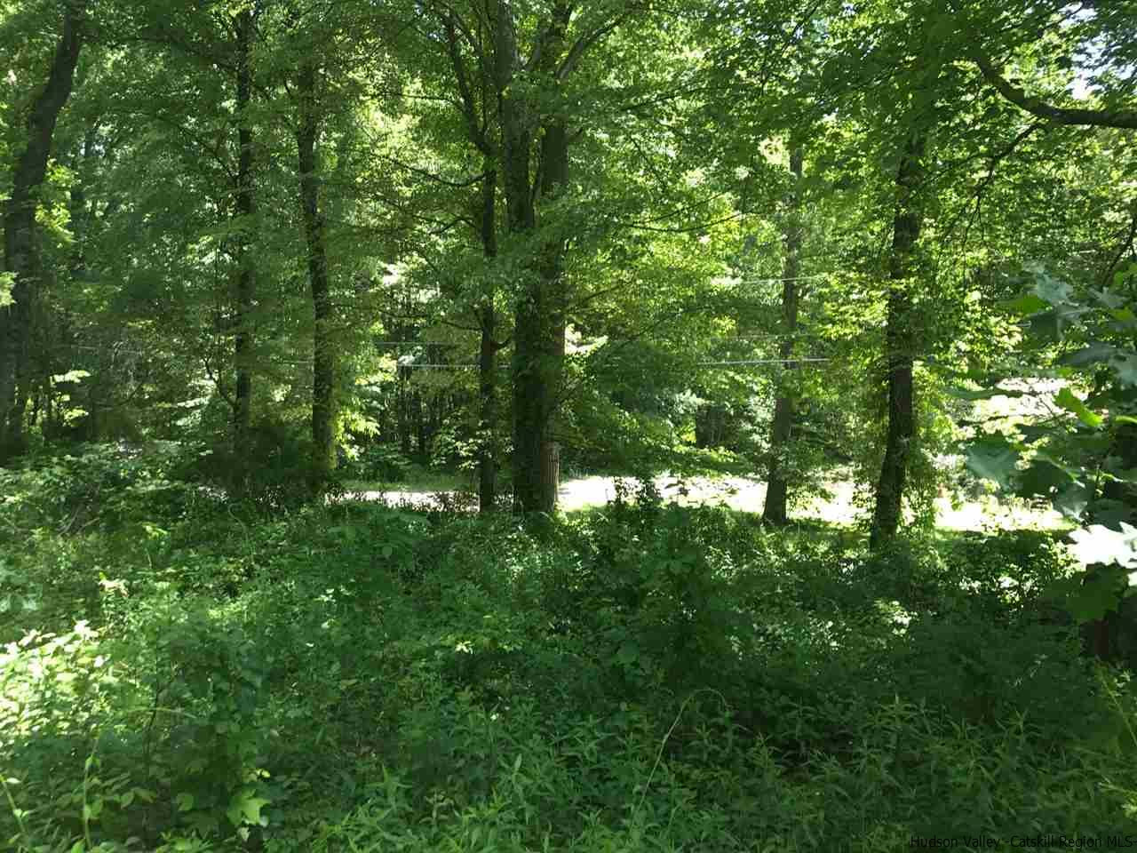 Tbd Grist Mill Road Rosendale, NY 12472 - Photo 4 of 12 Photo 4