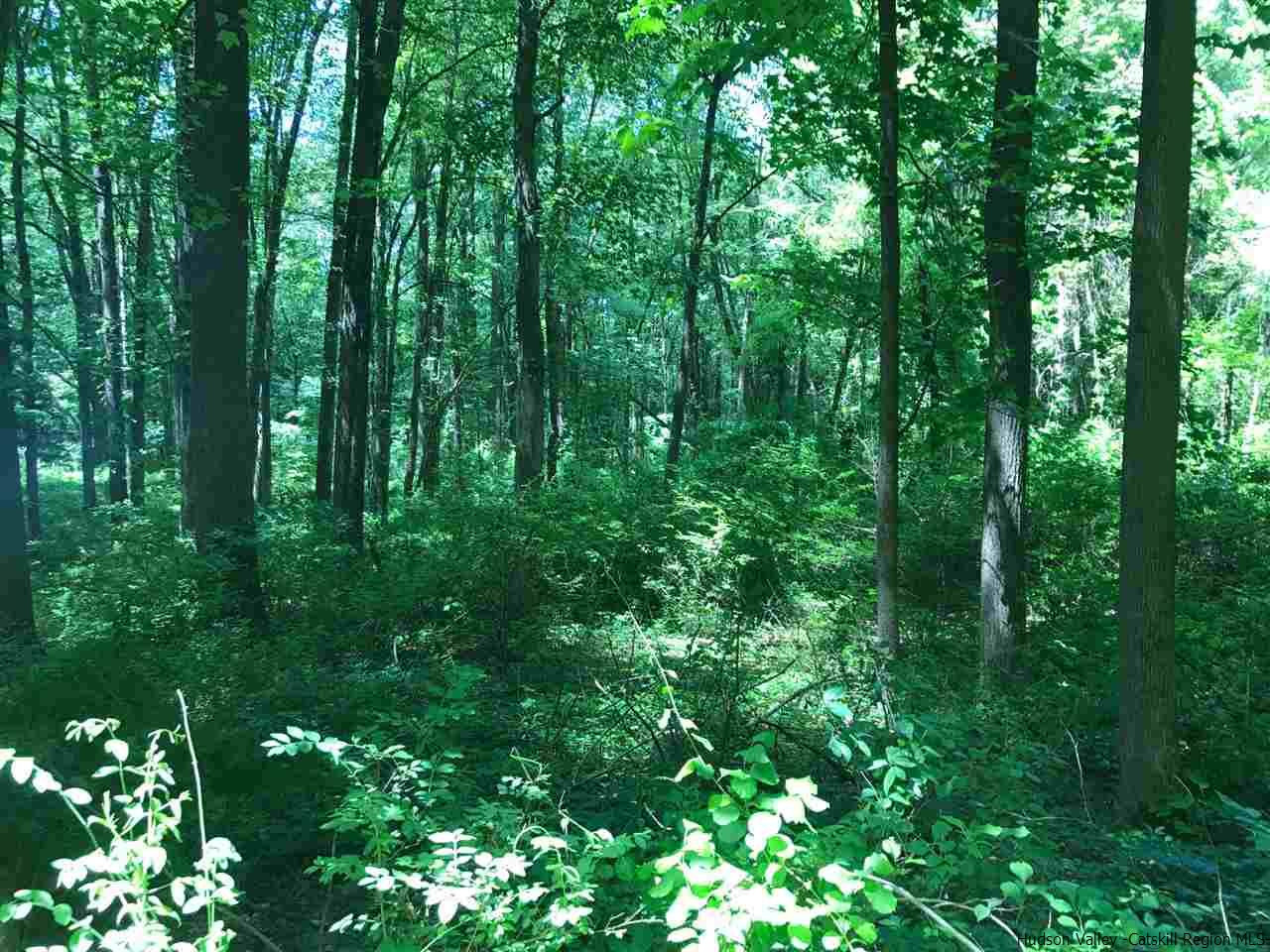Tbd Grist Mill Road Rosendale, NY 12472 - Photo 5 of 12 Photo 5