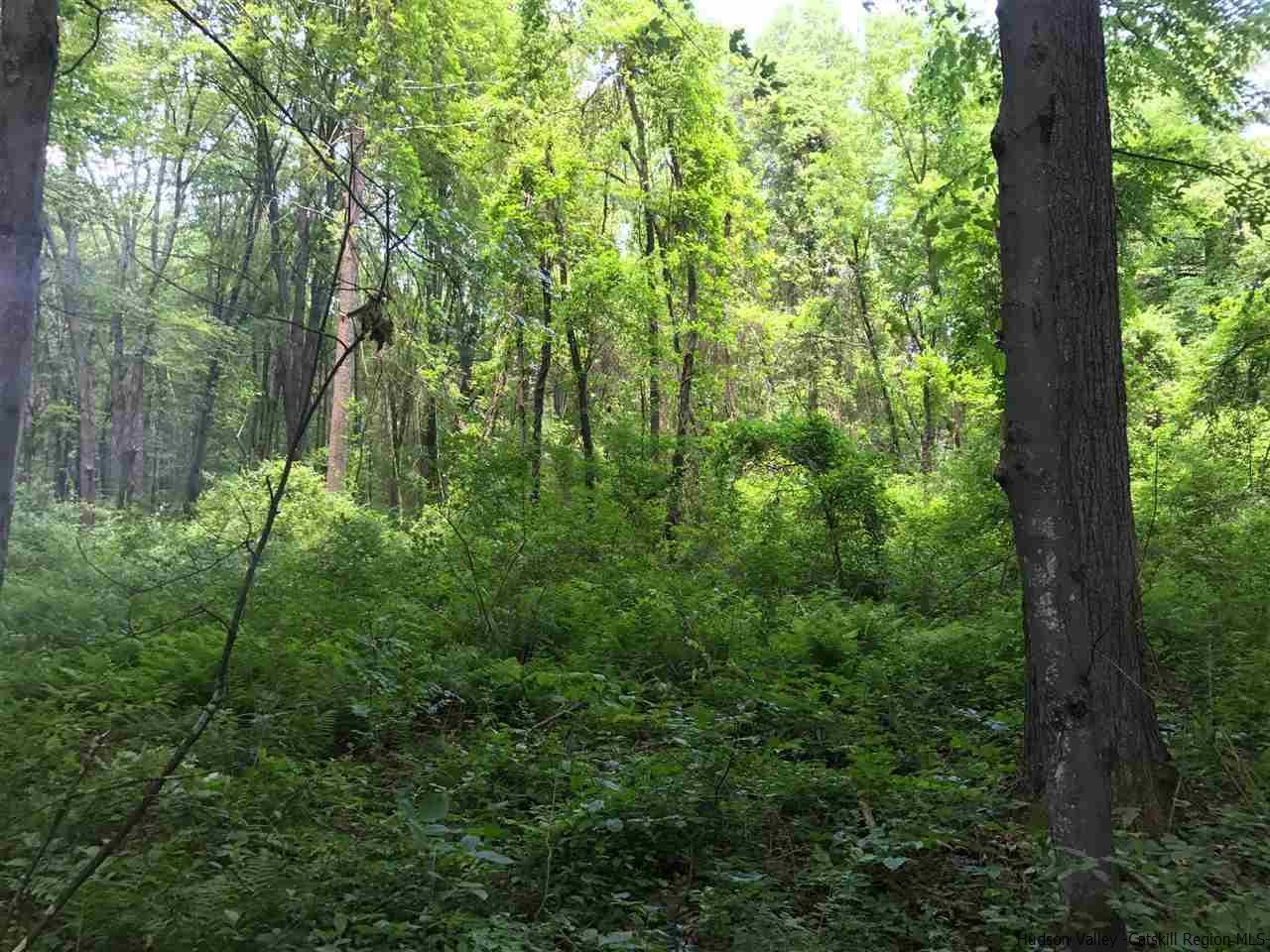 Tbd Grist Mill Road Rosendale, NY 12472 - Photo 6 of 12 Photo 6