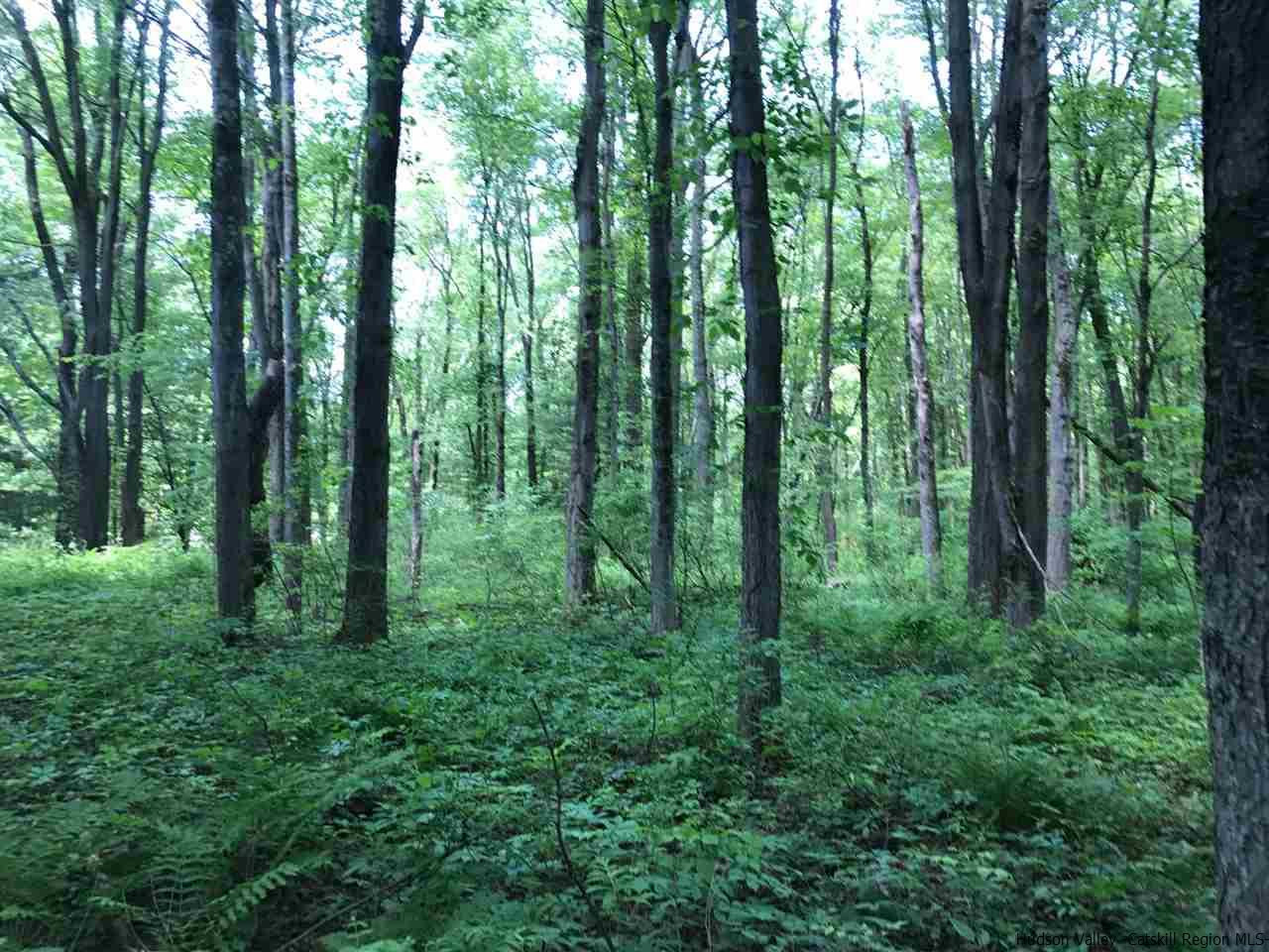 Tbd Grist Mill Road Rosendale, NY 12472 - Photo 7 of 12 Photo 7