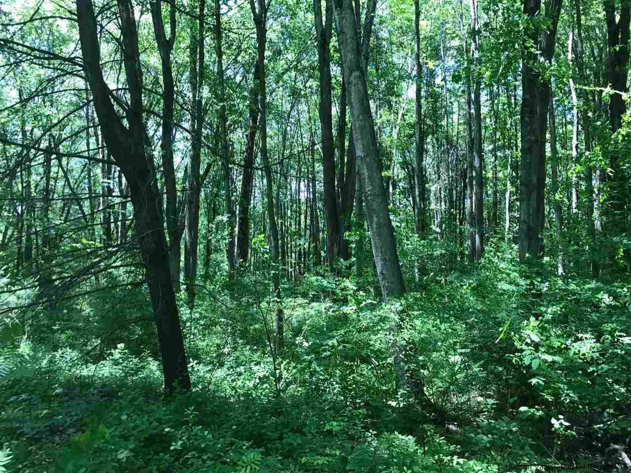 Tbd Grist Mill Road Rosendale, NY 12472 - Photo 9 of 12 Photo 9
