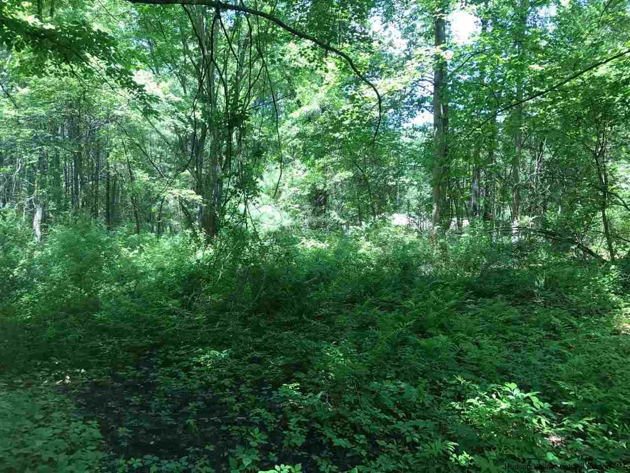 Tbd Grist Mill Road Rosendale, NY 12472 - Photo 10 of 12 Photo 10