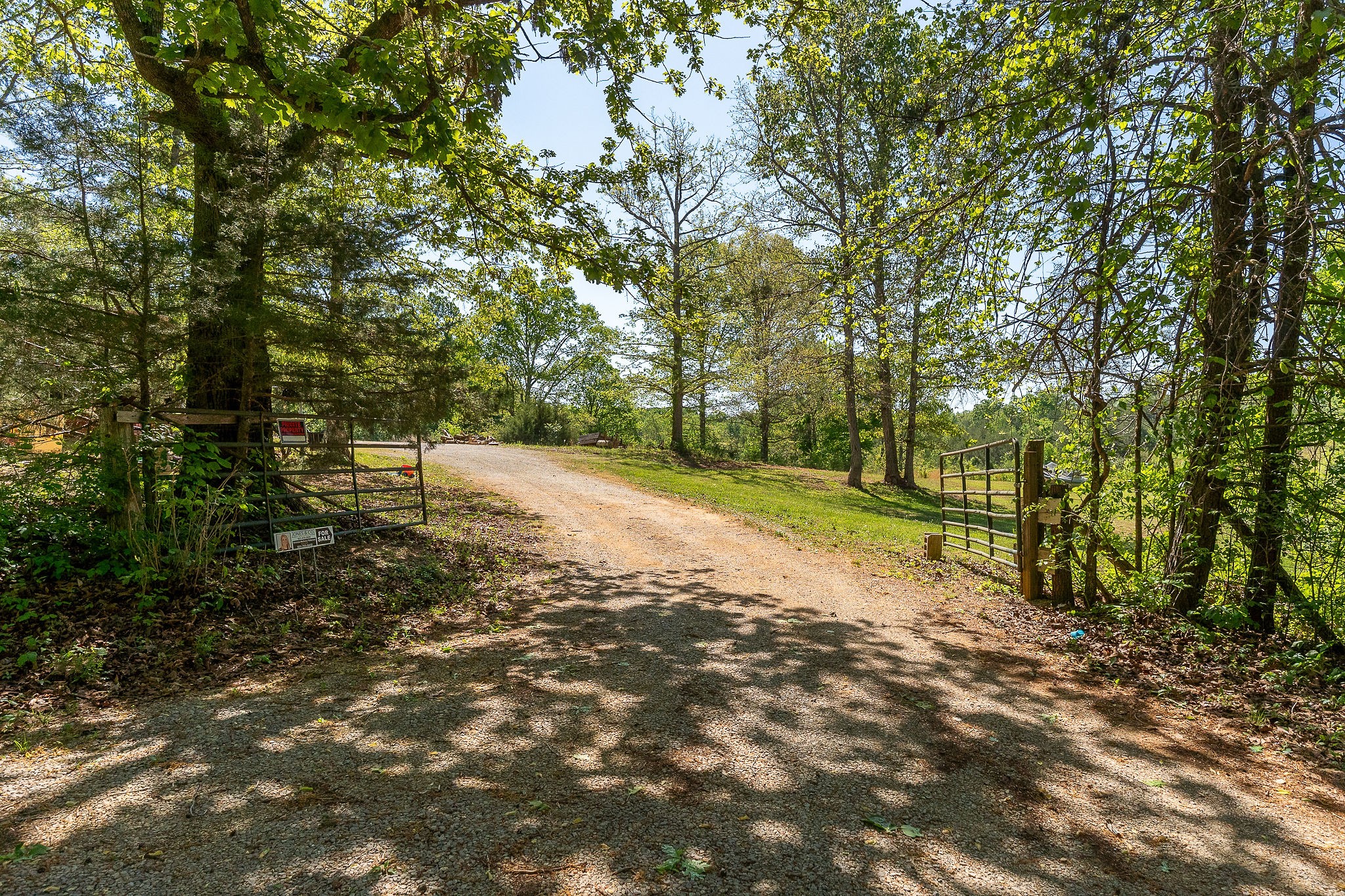0 Walker Road Rock Island, TN 38581 - Photo 5 of 14 a view of a tree with a yard