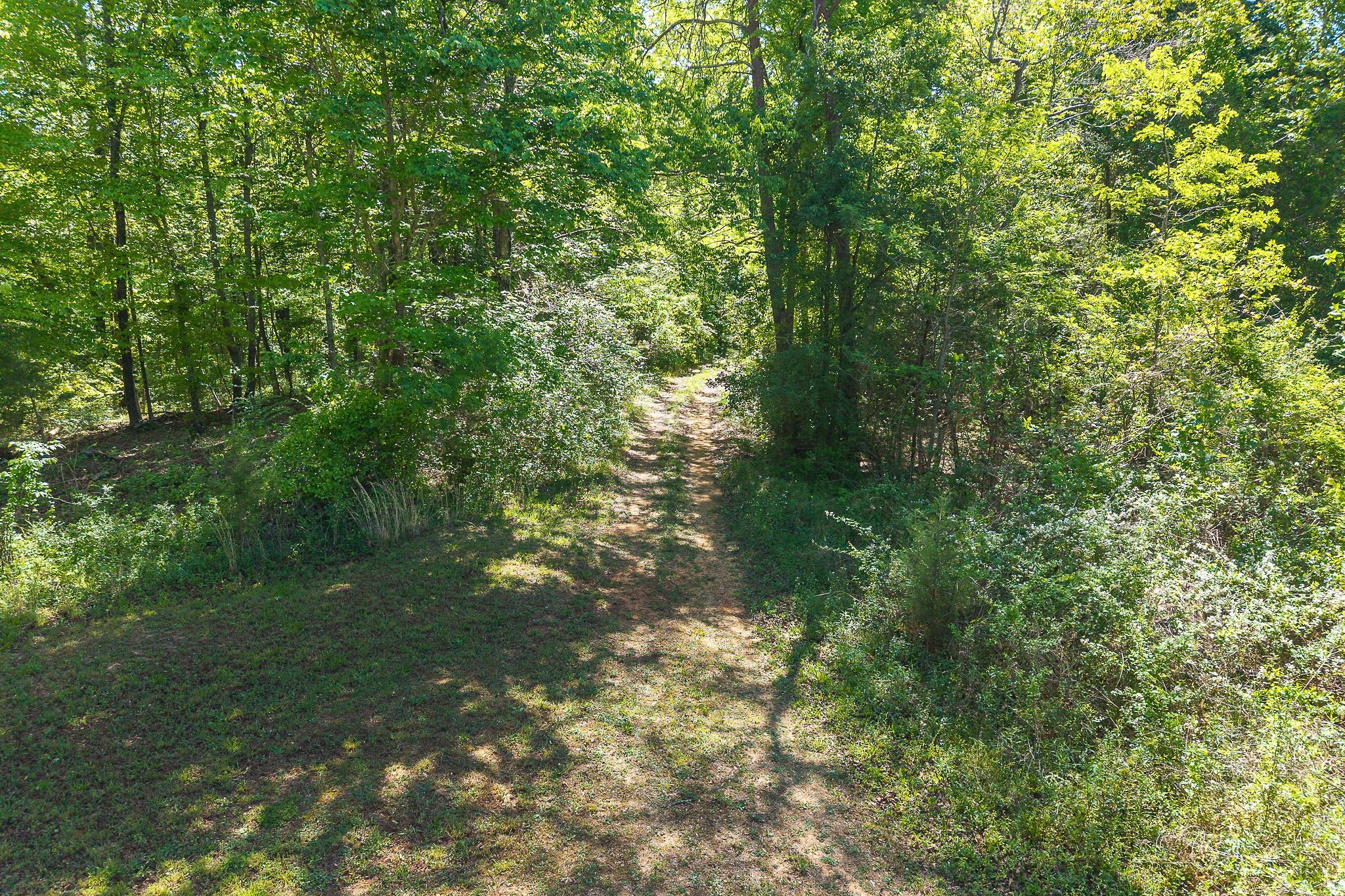 0 Walker Road Rock Island, TN 38581 - Photo 8 of 14 a view of a yard