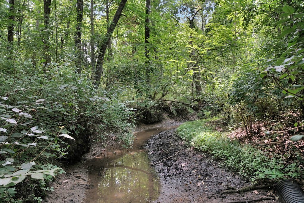 2-3 Timber Ridge Lane Mansfield, IL 61854 - Photo 102 of 104
