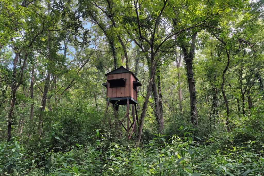 2-3 Timber Ridge Lane Mansfield, IL 61854 - Photo 103 of 104