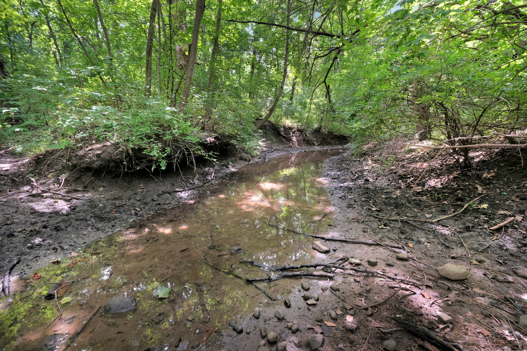 2-3 Timber Ridge Lane Mansfield, IL 61854 - Photo 104 of 104