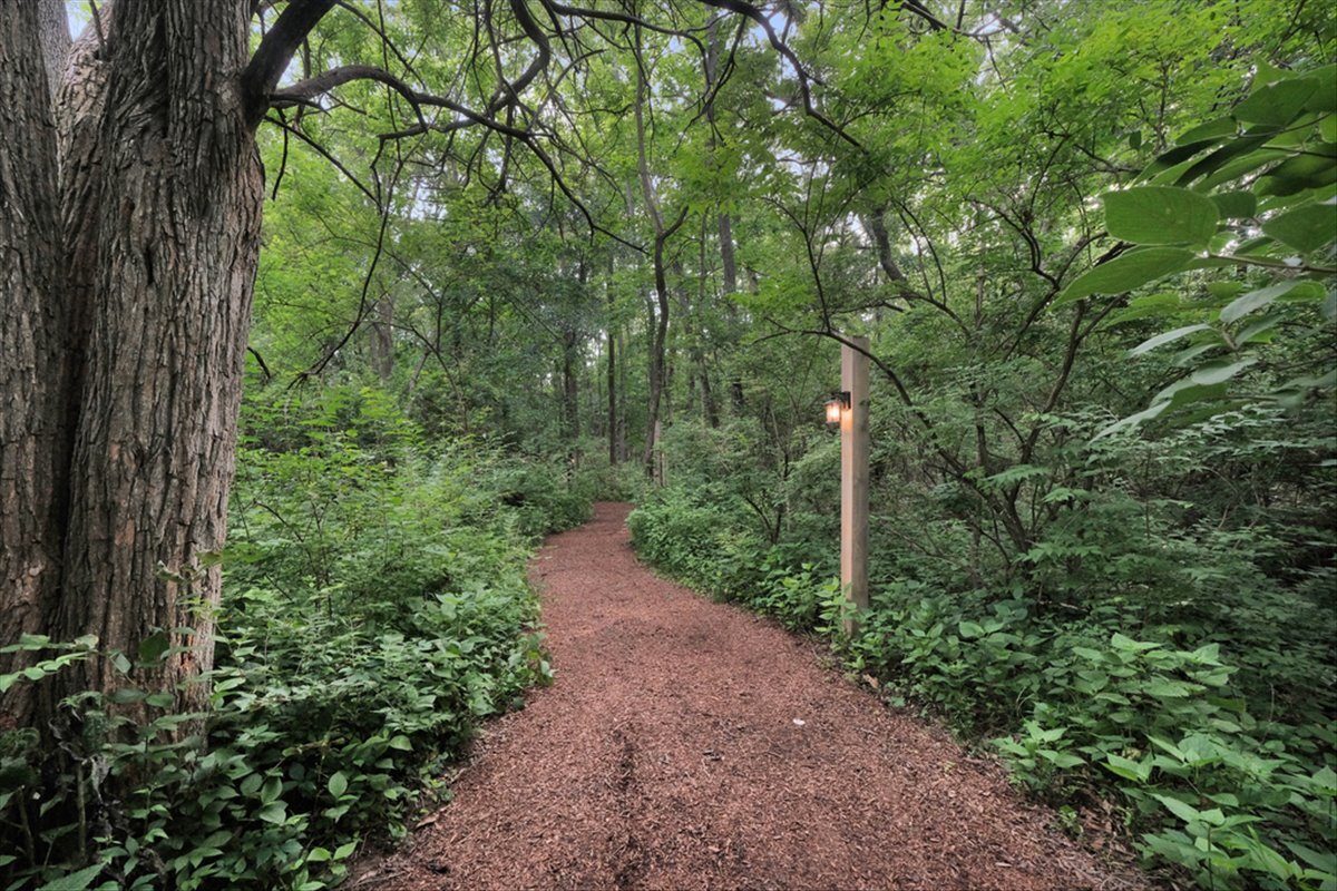 2-3 Timber Ridge Lane Mansfield, IL 61854 - Photo 4 of 104