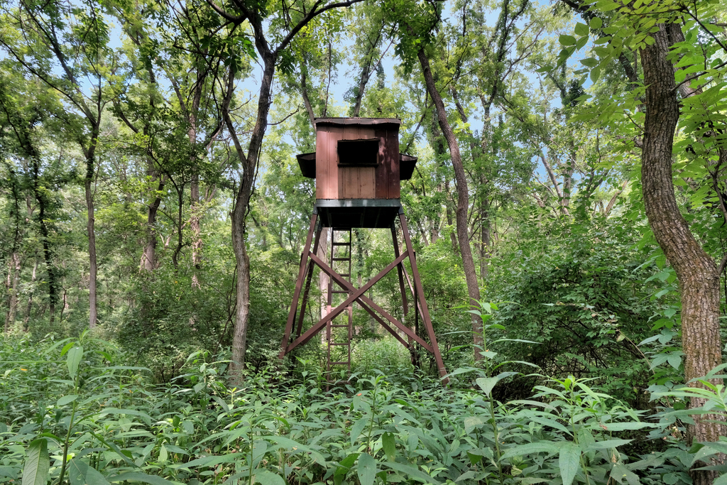 2-3 Timber Ridge Lane Mansfield, IL 61854 - Photo 5 of 104