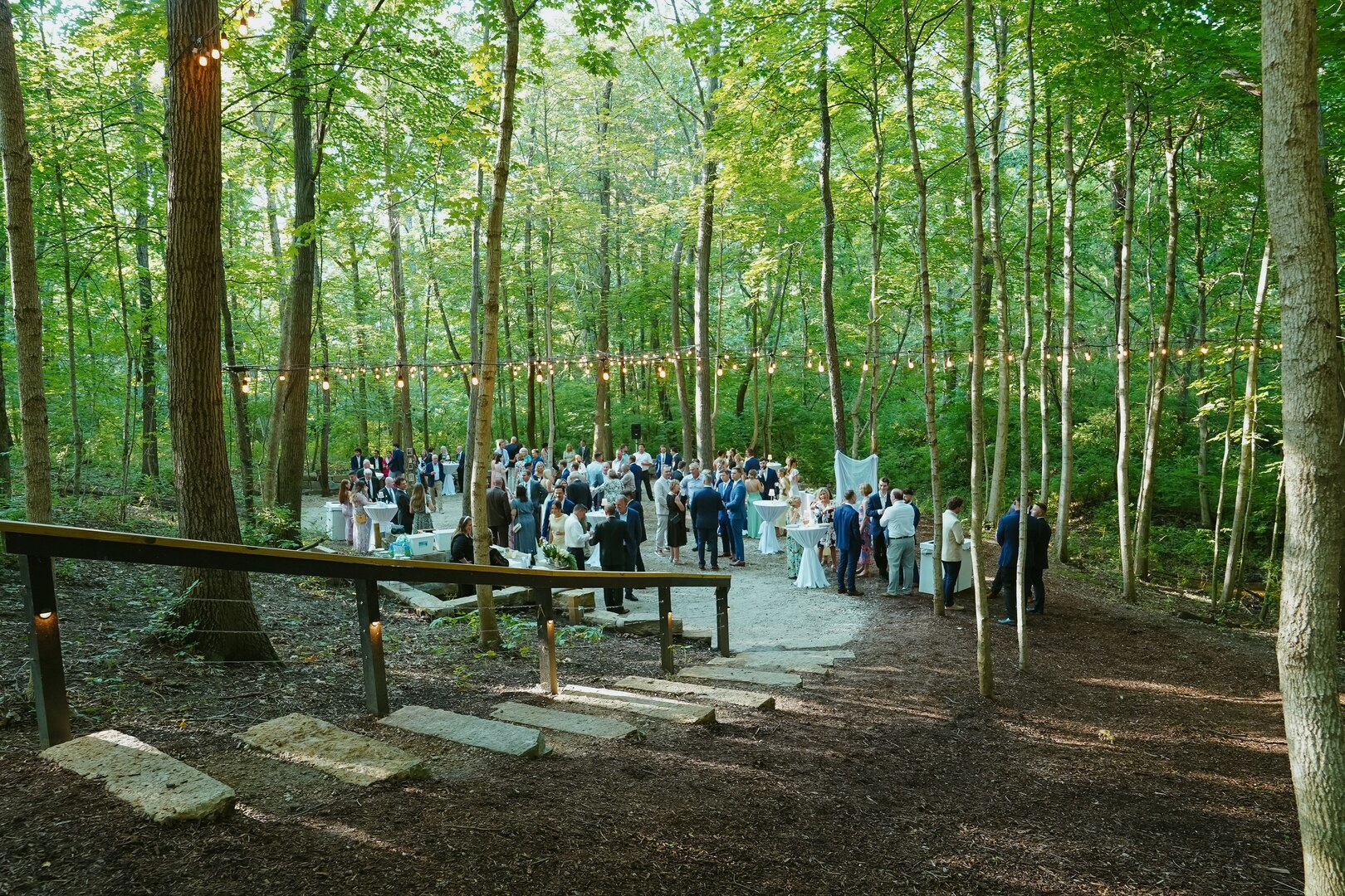 2-3 Timber Ridge Lane Mansfield, IL 61854 - Photo 10 of 104