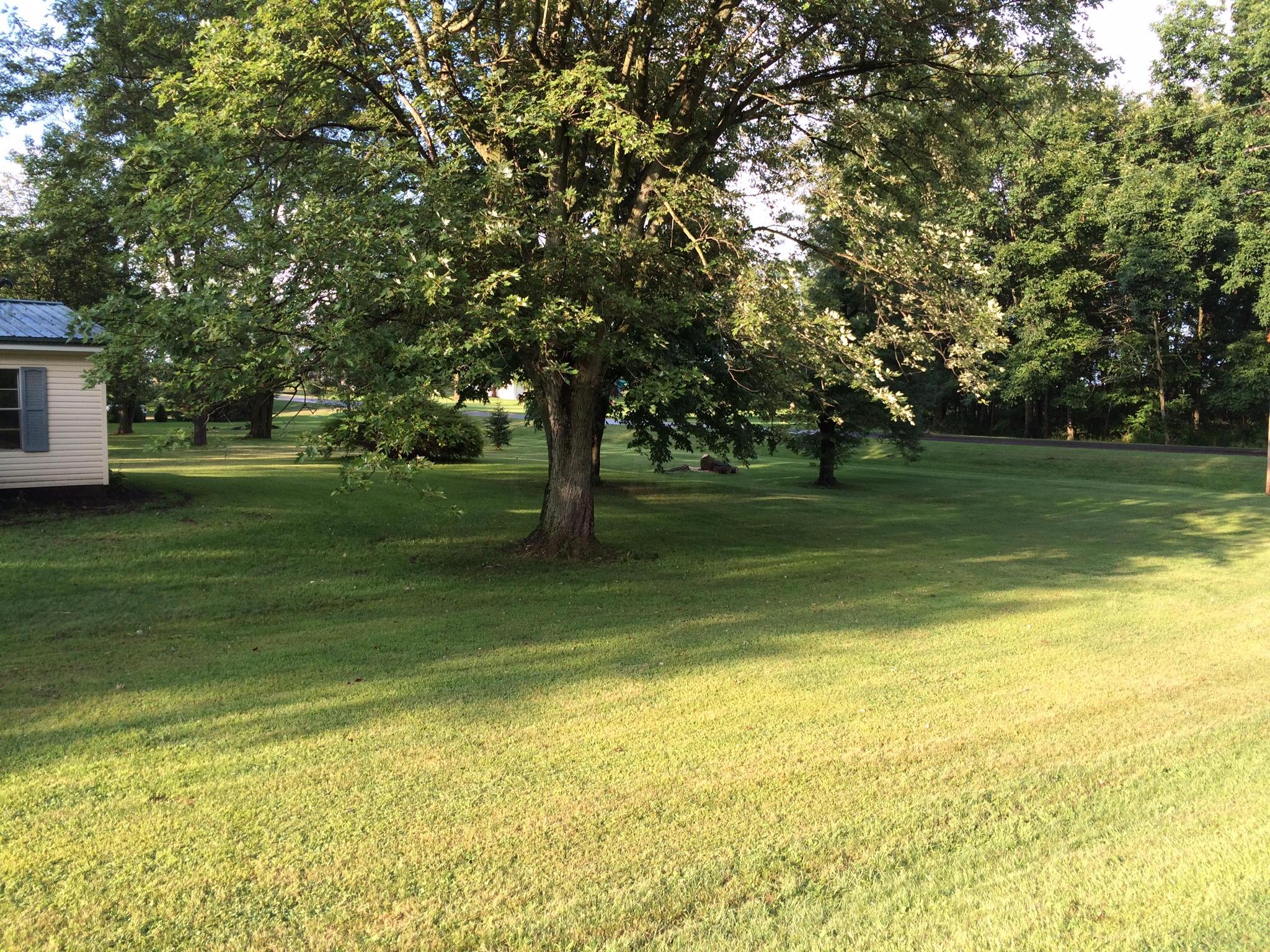 1534 Short Game Farm Road Urbana, OH 43078 - Photo 19 of 29
