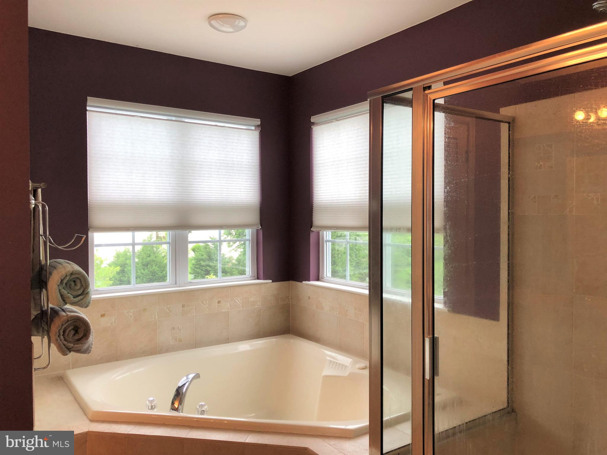 9 Cypress Point Road Westampton, NJ 08060 - Photo 15 of 32 Master Bath w soaking tub and shower