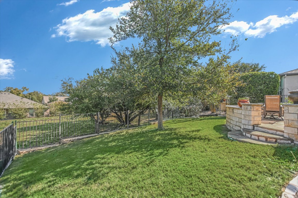 113 Cathedral Mountain Pass Georgetown, TX 78633 - Photo 28 of 29 a view of a garden with a slide