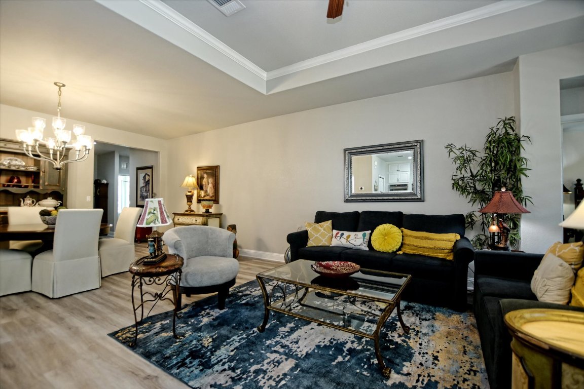 113 Cathedral Mountain Pass Georgetown, TX 78633 - Photo 5 of 29 a living room with furniture and a potted plant