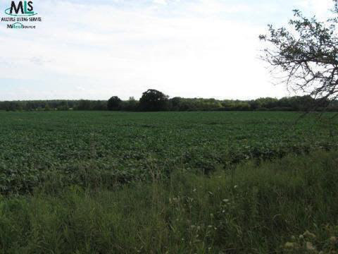 8194 Rider Imlay City, MI 48444 - Photo 3 of 3 909838-2.JPG