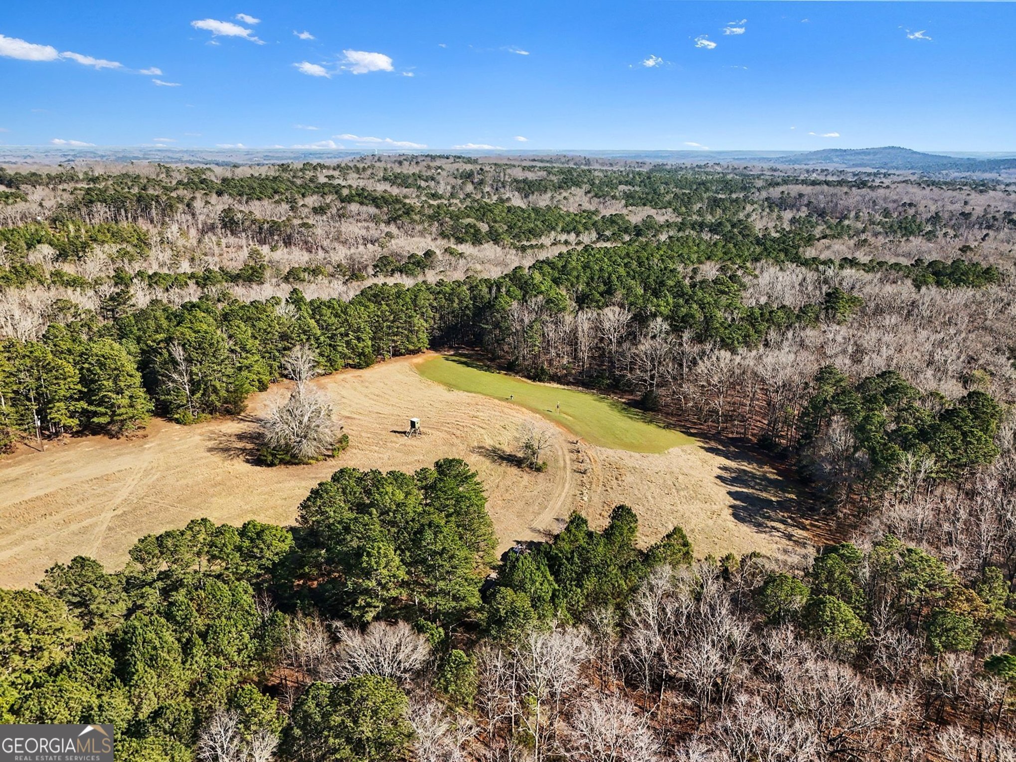 0 Vineyard Road Thomaston, GA 30286 - Photo 3 of 40