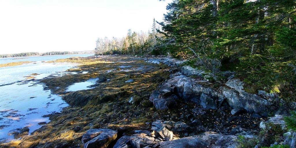 0 Back Shore Road Steuben, ME 04680 - Photo 4 of 16 Photo