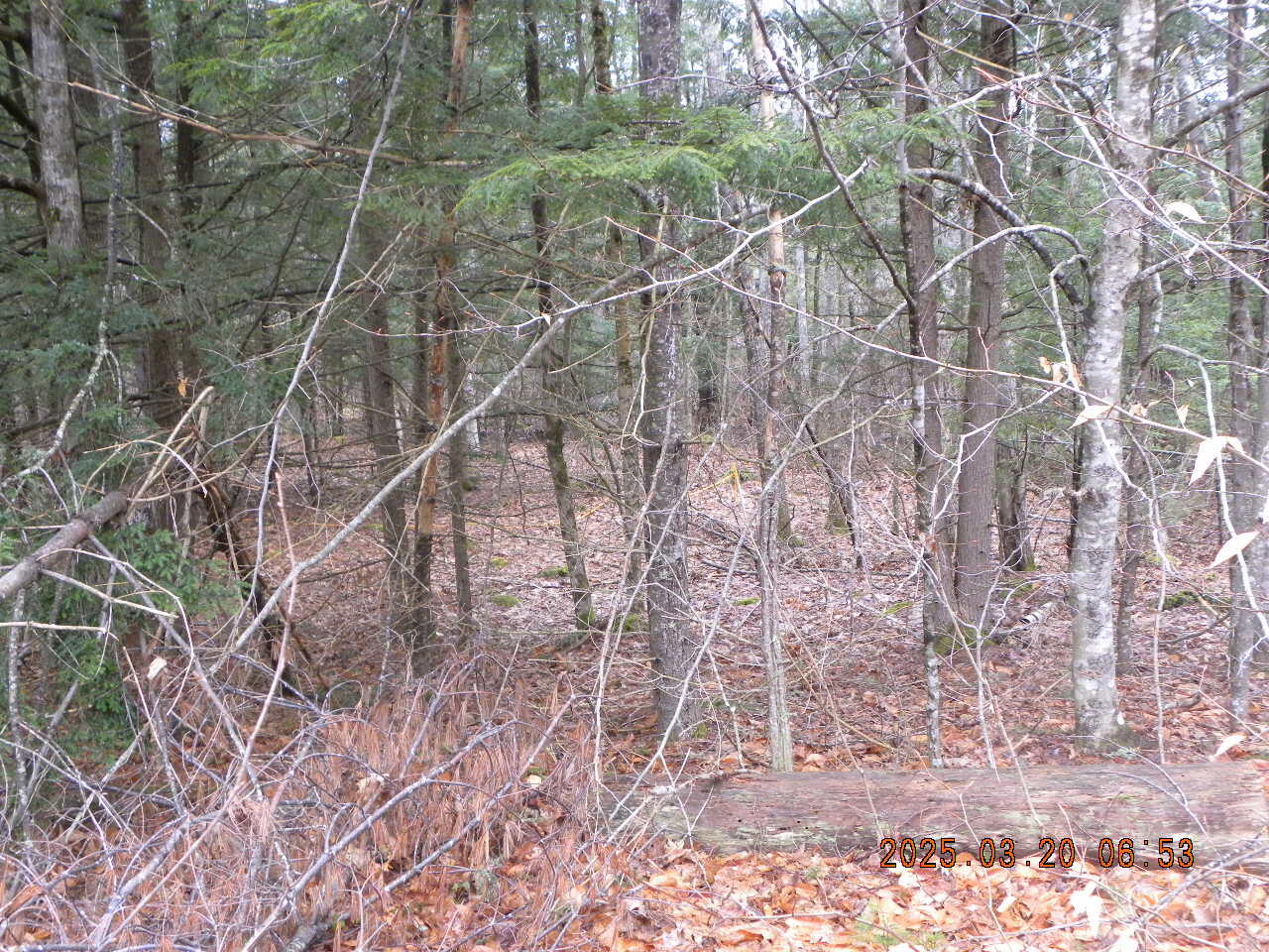 Tbd Olde Farnham Road Alfred, ME 04002 - Photo 6 of 9 DSCN9285