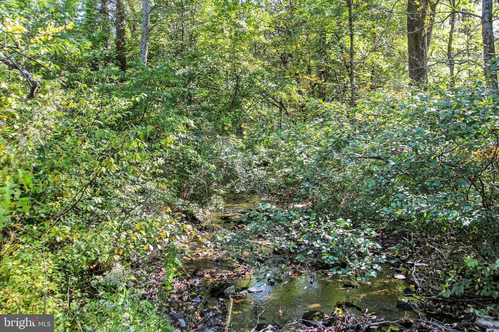 130 Spigot Valley Road Biglerville, PA 17307 - Photo 38 of 64 a view of a lush green forest