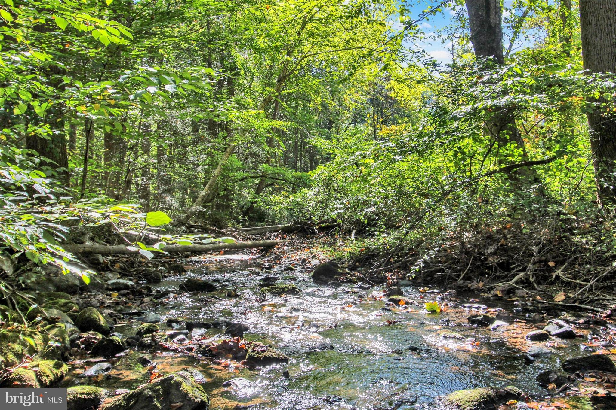 130 Spigot Valley Road Biglerville, PA 17307 - Photo 39 of 64 a backyard of a house with lots of green space