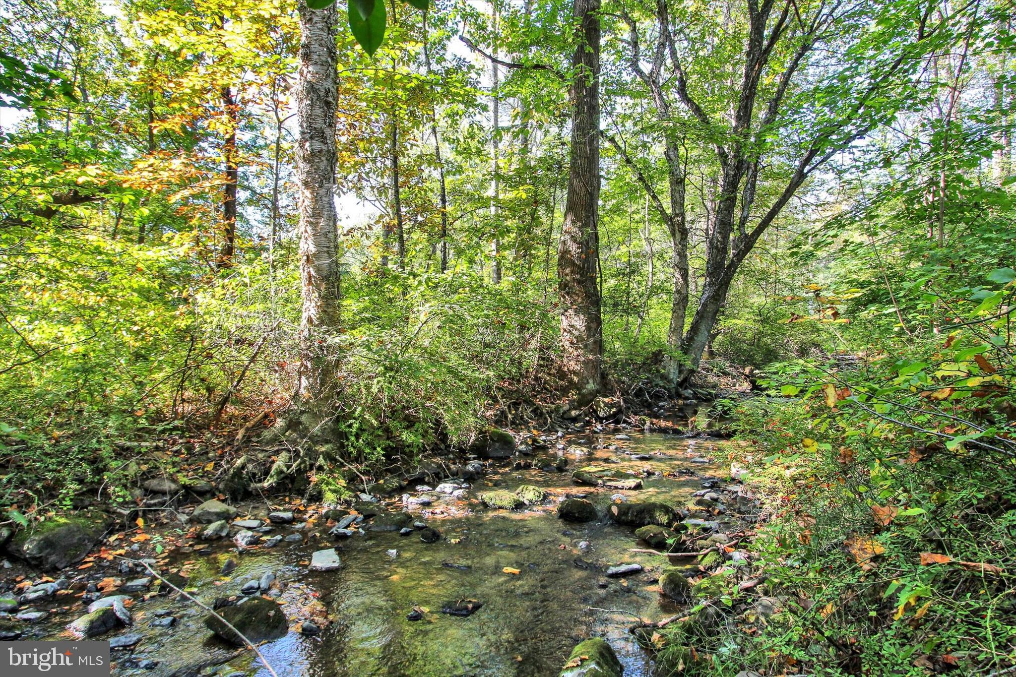 130 Spigot Valley Road Biglerville, PA 17307 - Photo 40 of 64 a view of a house with a lush green forest