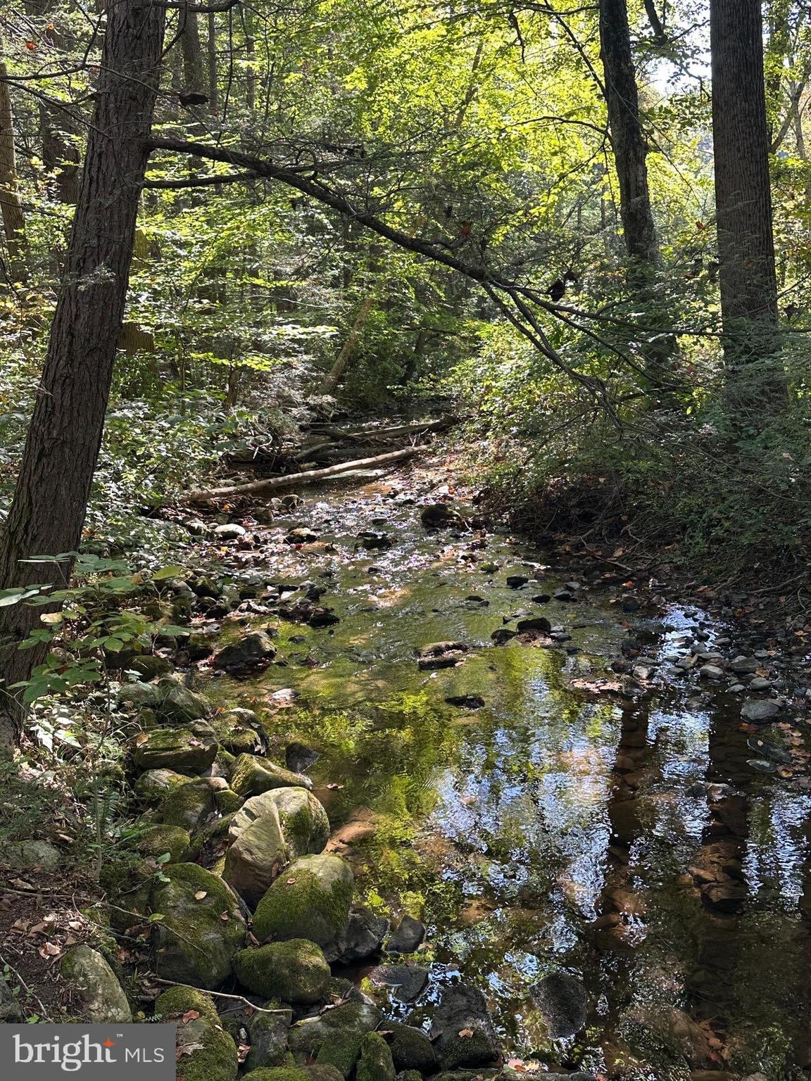 130 Spigot Valley Road Biglerville, PA 17307 - Photo 53 of 64 a view of a yard with plants and large trees
