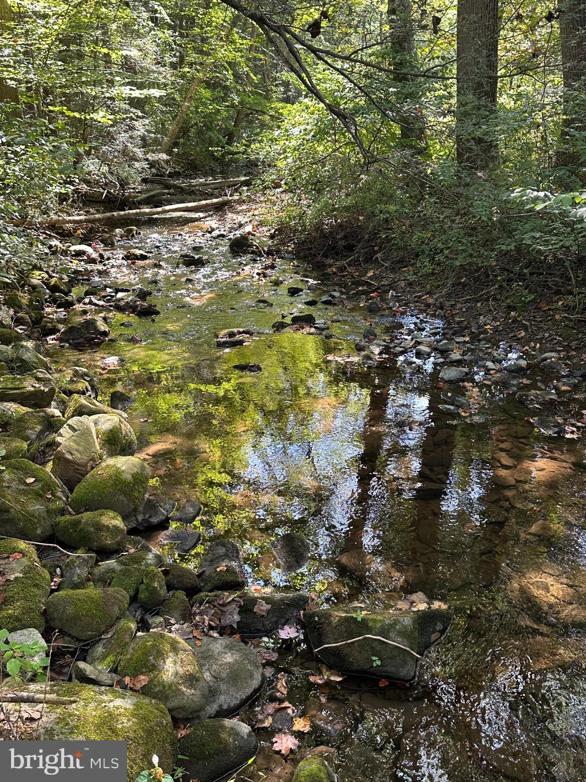 130 Spigot Valley Road Biglerville, PA 17307 - Photo 54 of 64 a view of outdoor space and garden