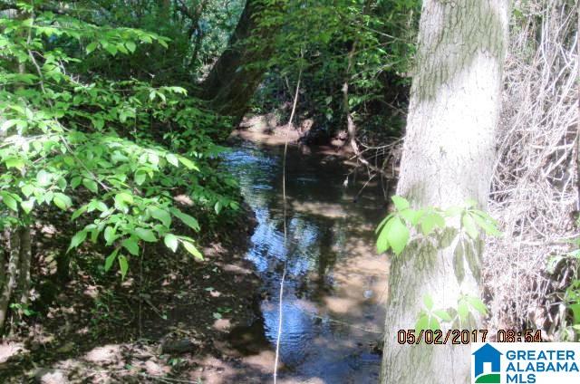 82-acres Creed Road, Unit 82 ACRES Lineville, AL 36266 - Photo 15 of 20