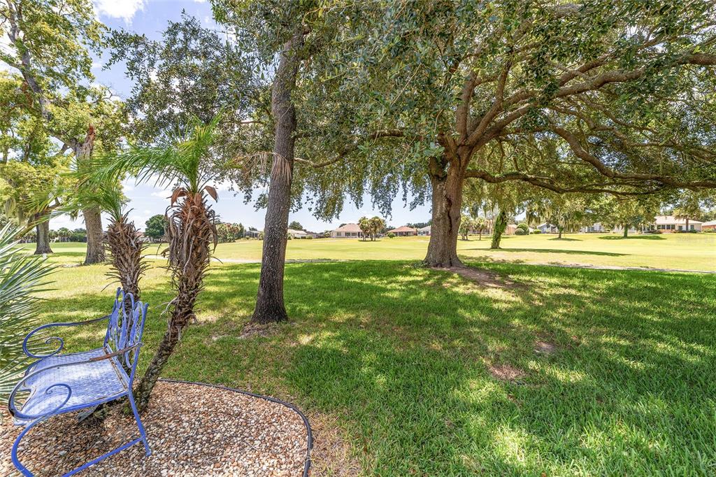 12859 Southeast 91st Terrace Road Summerfield, FL 34491 - Photo 57 of 87