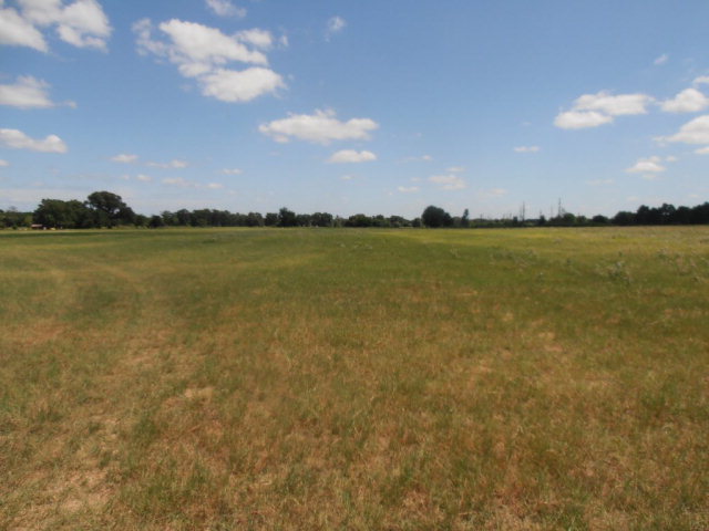 0 Houston County Road Grapeland, TX 75844 - Photo 1 of 1