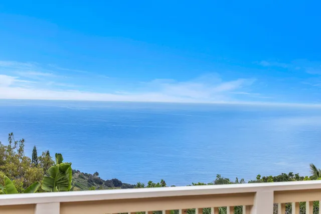 an aerial view of ocean and trees