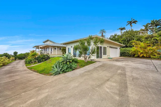 a view of a palm tree