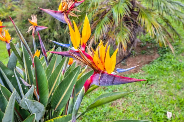 $1,570,000 | 445 Kaukini Loop, Wailuku, HI 96793