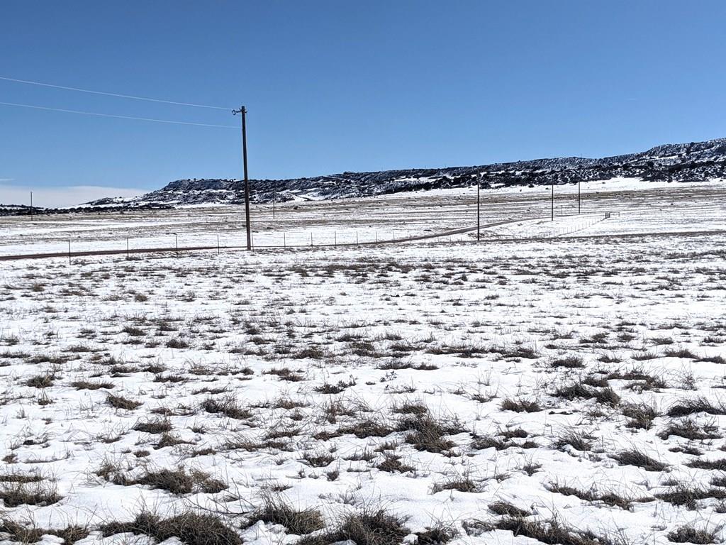 Lot 3 Pickney Road Rye, CO 81069 - Photo 8 of 14