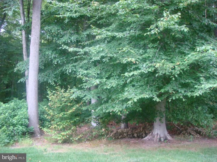 61 Warwick Road West Windsor, NJ 08550 - Photo 15 of 21 Gallery Image 15