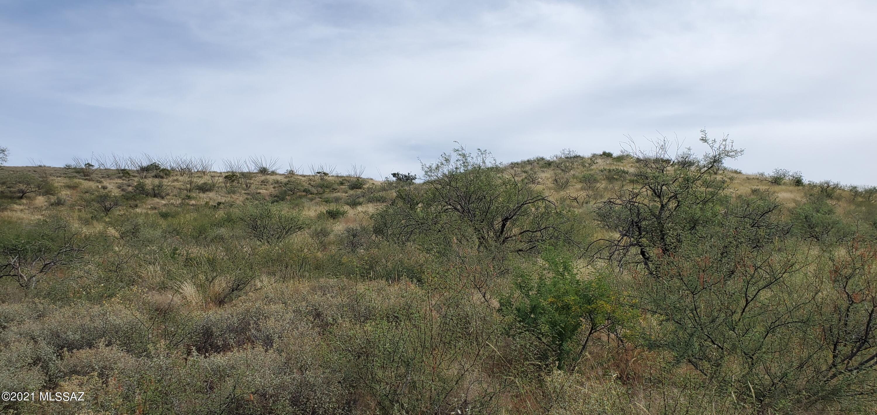 13781 South Bell Road Benson, AZ 85602 - Photo 30 of 38 Gallery Image 30