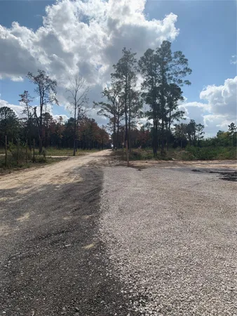 a view of dirt yard with large trees