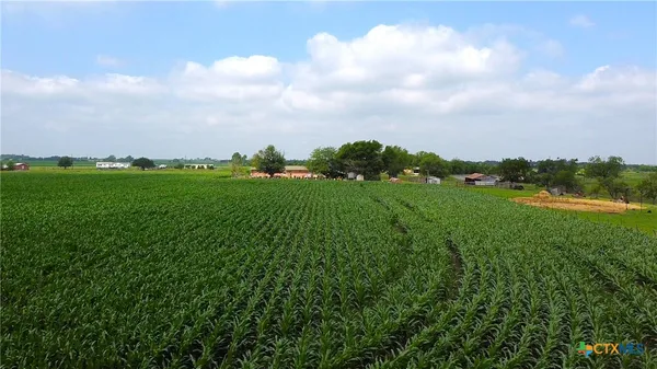 a view of a city and green space