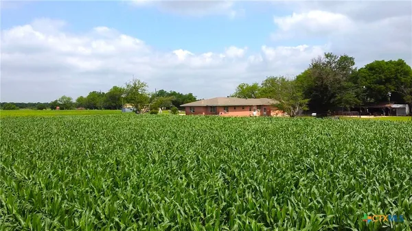 a view of a garden