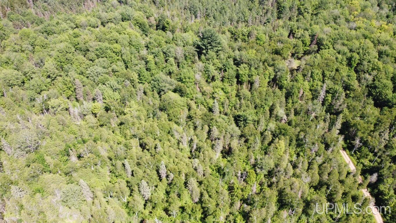 Tbd Tbd Stack Grade Little Lake Rock, MI 49880 - Photo 31 of 45