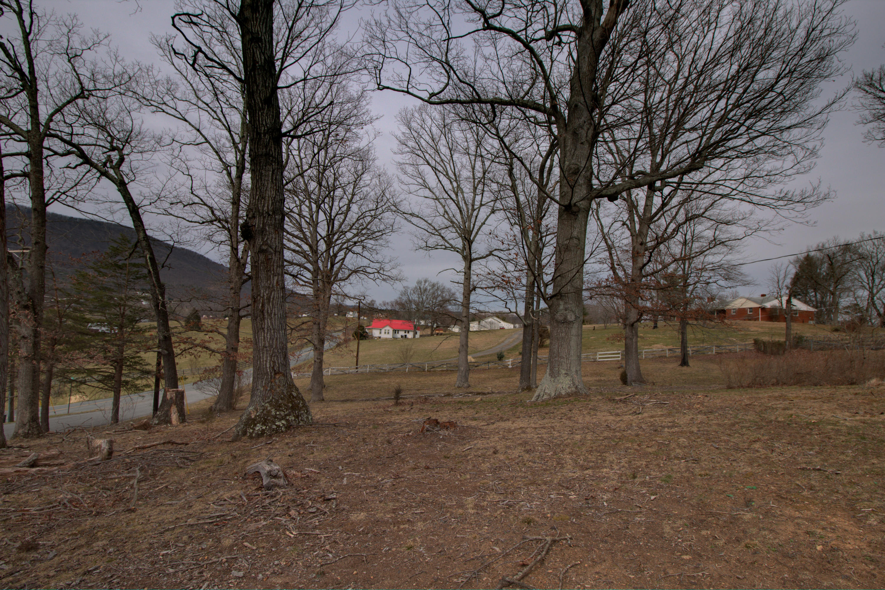 4324 Rakes Road Roanoke, VA 24014 - Photo 36 of 38 a view of a yard covered with snow in the yard