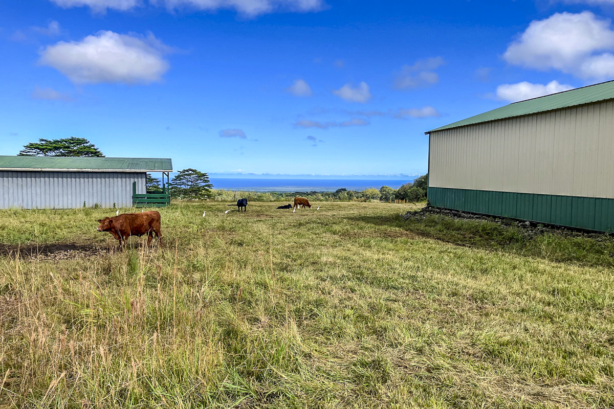 17-4870 Lot A South Road Mountain View, HI 96771 - Photo 1 of 29