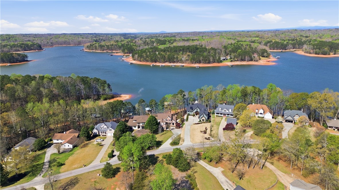 501 Capri Point Lavonia, GA 30553 - Photo 8 of 50 This elevated view captures a serene lakeside community with lush greenery and charming residences.
