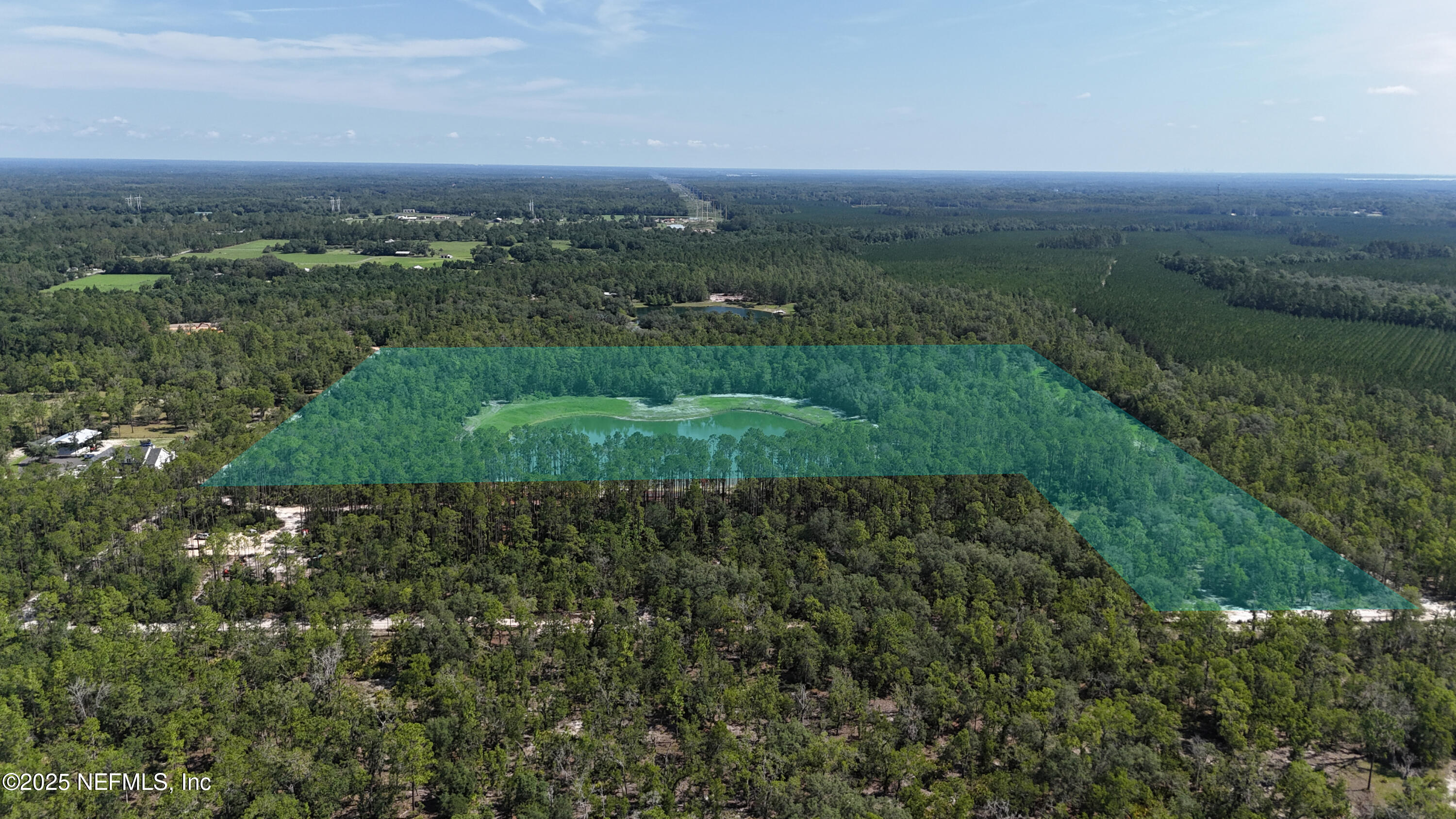 3212 Thunder Road Middleburg, FL 32068 - Photo 7 of 17 a view of a green field with lots of bushes