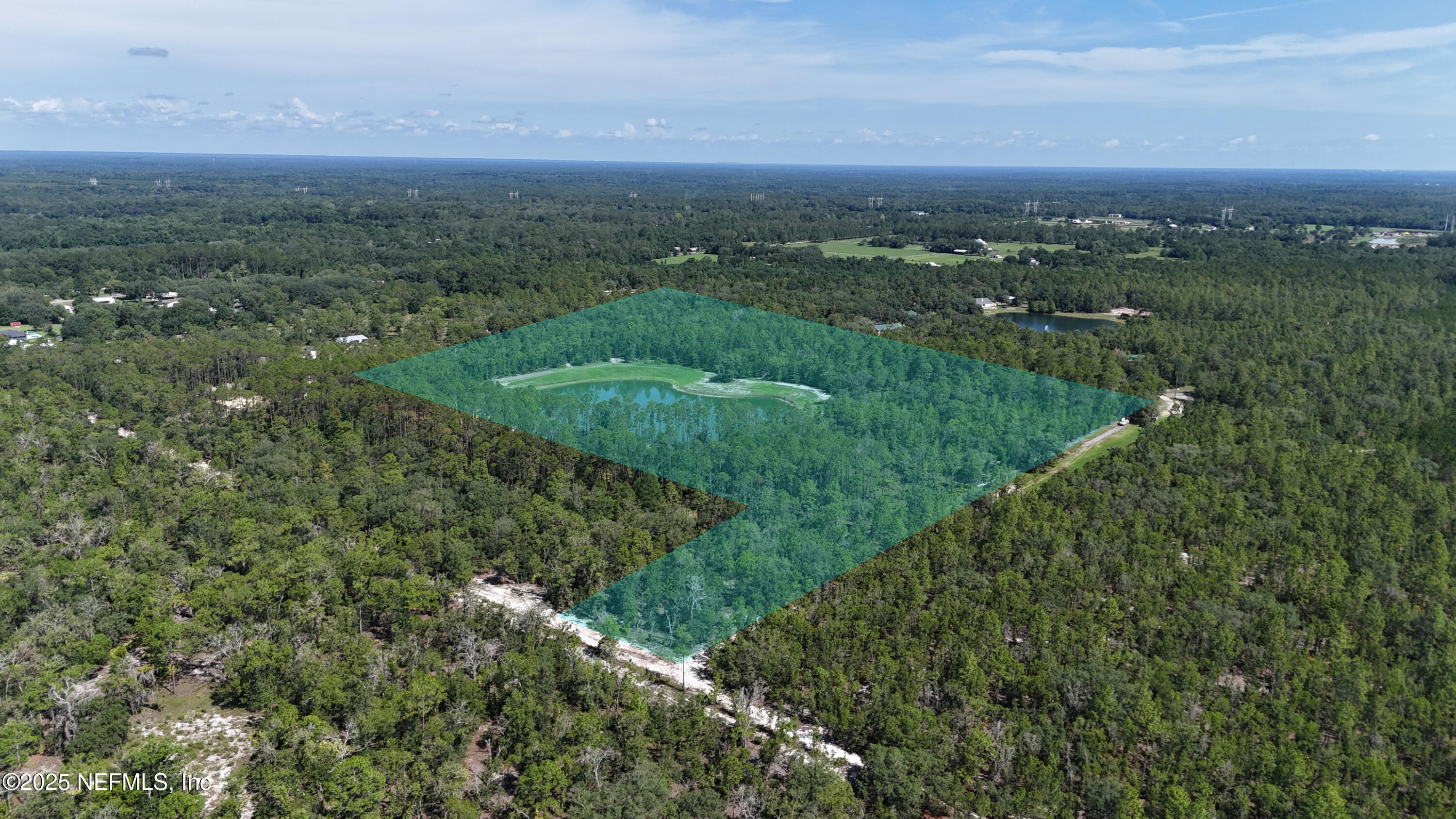 3212 Thunder Road Middleburg, FL 32068 - Photo 9 of 17 a view of a green field with lots of bushes