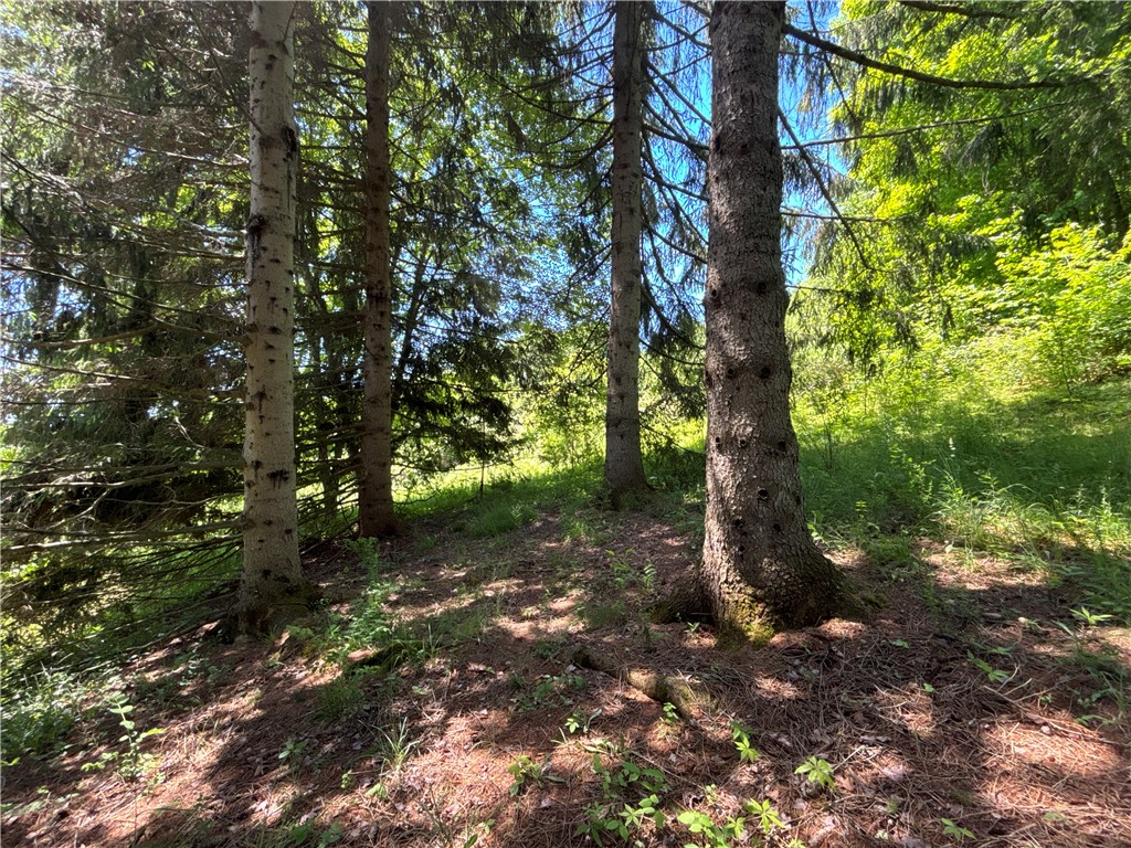 2636 Murphy Hill Road Andes, NY 13731 - Photo 29 of 33