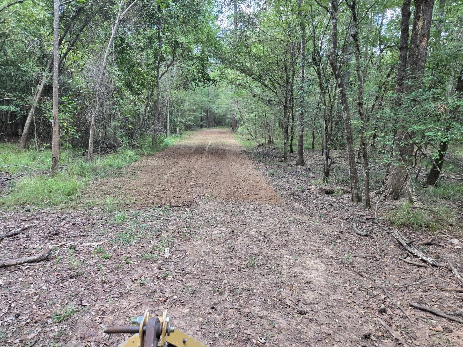 0 Fm 1013 Spurger, TX 77660 - Photo 13 of 15 a view of a forest with trees in the background