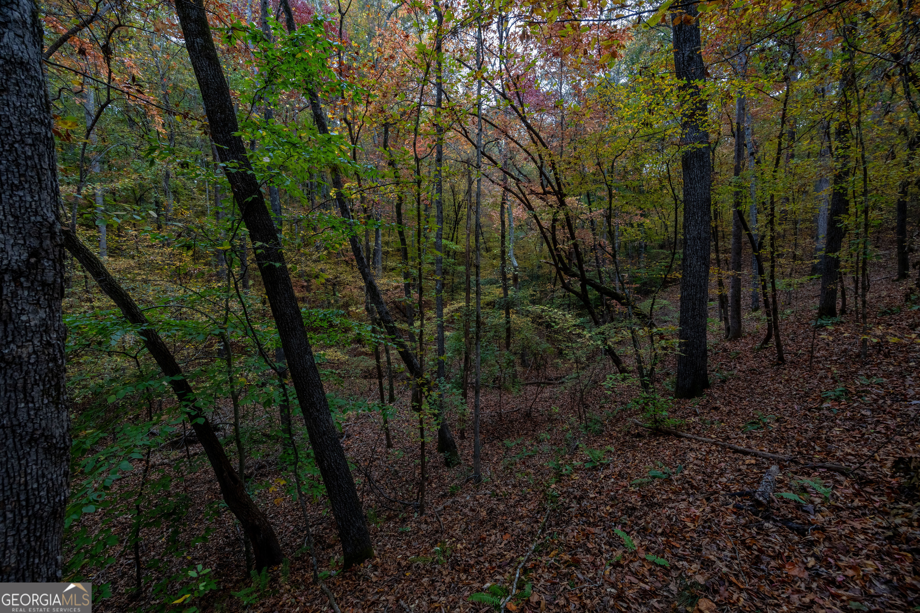 0 Bullock Bridge Road, Unit TRACT 4 Loganville, GA 30656 - Photo 11 of 36