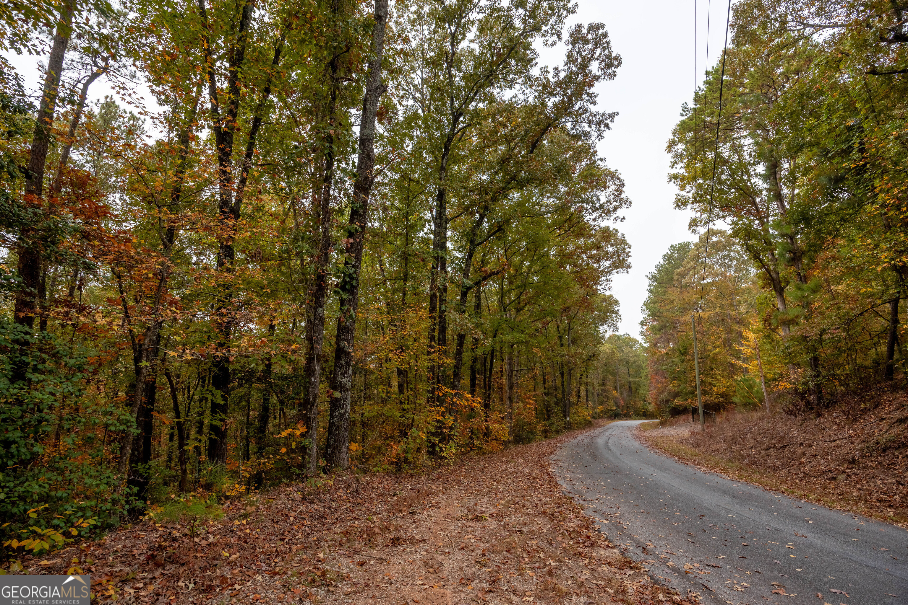 0 Bullock Bridge Road, Unit TRACT 4 Loganville, GA 30656 - Photo 14 of 36